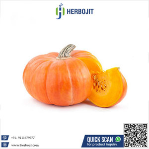 สินค้าที่ต้องการมาก ฟักทองแดงสดธรรมชาติคุณภาพดีที่สุดมีจําหน่ายในราคาต่ําสุด - Product Image 6