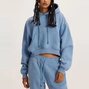 Sweat à capuche surdimensionné pour femmes Pull Streetwear à la mode avec broderie 3D Usine OEM personnalisée pour l'impression de logo avant pour l'hiver - Product Image 4