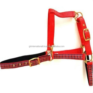 Hot Selling Horse Racing Products Premium <b>Thick</b> Nylon Webbing Nylon Horse Halter in Many Colors and Sizes With Brass Fittings - Product Image 2