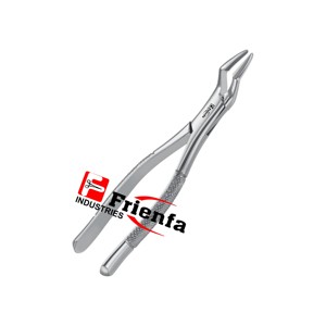 Forceps d'extraction manuel pour racines des incisives supérieures, modèle 65, en acier inoxydable de haute qualité, certifié CE, instruments réutilisables - Product Image 3