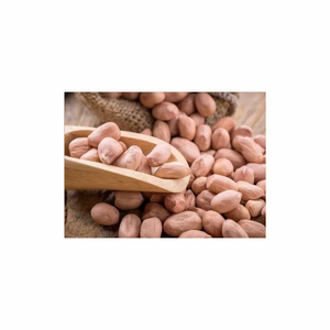 Organic Ground Nuts High Quality Raw <b>Peanuts</b> Roasted Ground Nuts Good Quality at a Cheap Price Cultivated Naturally - Product Image 2