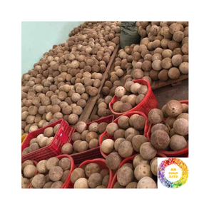 Cáscara suave de agua de coco rico en coco maduro semi descascarillado marrón fresco Gran opción para cocinar jugos y pedidos a granel - Product Image 6