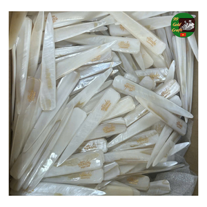 Feuille d'incrustation de nacre, feuille d'incrustation de nacre naturelle, feuille d'incrustation décorative de nacre pour décoration murale - Product Image 1