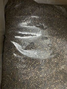 Semillas de papaya secas Té de flores y máquina de semillas con sabor a hierbas cantidad a granel té Hecho en Vietnam calidad de exportación 2024 - Product Image 3