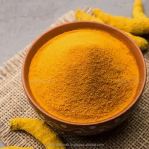 GMP Certified Well Dried Turmeric Root Extract Powder From India at Factory Price