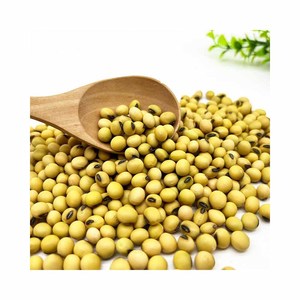 GMO Soybeans/Dried Soya Bean <b>Seeds</b> in Bulk <b>Packaging</b> - Product Image 5