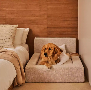 Cama Moderna para Mascotas, Cojín de Tela Gruesa, Cómodo, Universal para Perros, Venta al por Mayor para el Hogar, Oficina, Sala de Estar - Product Image 4