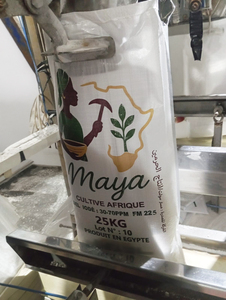 Sal del Mar Céltico Blanca Orgánica Refinada con 99.8% de Pureza, en Polvo, con Yodo Opcional, Bolsa de 25 kg, Grado Alimenticio, Egipto - Product Image 4