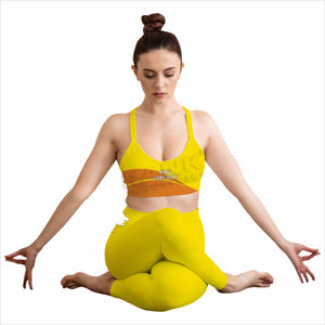 <b>Crop</b> Top and High Waist <b>Leggings</b> Yoga Set for Women Fitness and Training Lightweight Womens Yoga Set - Product Image 1