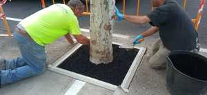 Sân chơi lớp cơ sở <span class=keywords><strong>SBR</strong></span> 4-8 - Product Image 3