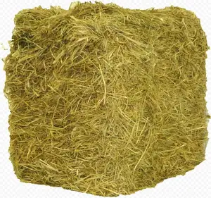 คอกที่มีคุณภาพเก็บหญ้าเขียวหญ้า Alfalfa