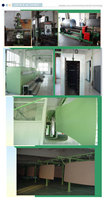 Usine de biogaz 800 kw 1000kva générateur électrique de biogaz alimenté par moteur Baudouin 12M33