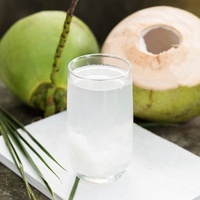 FRUITS FRAIS NOIX DE COCO POUR DRNK-DOUX NATUREL DE BEN TRE VIETNAM SERVICE ODM/OEM WHATSAPP + 84 96 871 5470