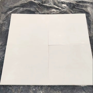 Gwalior Menthe Grès blanc 60cm x 60cm et toutes les autres tailles disponibles Grès de surface aiguisé pour projet d'hôtel et de villa - Product Image 6