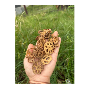 แผ่นรากบัวอบแห้งคุณภาพดีจากเวียดนาม จัดจำหน่ายโดย 99 โกลด์ ดาต้า ใช้ในซุปและอาหาร - Product Image 1