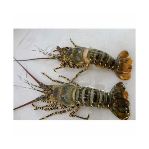 กุ้งก้ามกรามแช่แข็งทั้งเปลือกในอาหารทะเลสำหรับโรงแรมและร้านอาหาร - Product Image 1