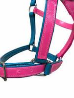 NOUVEAU ARRIVÉ PVC Halter Horse Harness Riding Equipment Head Collar Leather Bride Horse Poulain Halter Rack