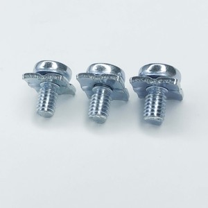 สกรูสแตนเลสรูปทรงไม่เป็นมาตรฐานแบบกําหนดเองสกรู DIN603 - Product Image 4