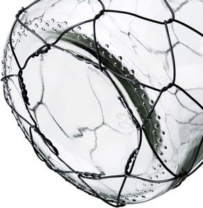 Vase en verre décoratif étoile avec pot de fleur galvanisé en fil de poulet pour la décoration intérieure et la forme de conception de plantation de jardin - Product Image 5