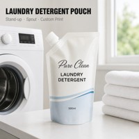 Sachet de recharge personnalisé pour lessive en poudre, pochette souple verticale 500 ml, imprimé en héliogravure, OEM ODM, avec bec verseur