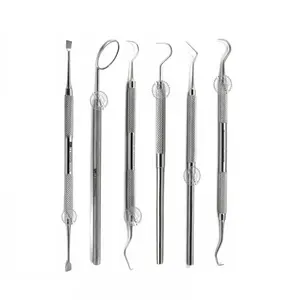Dentist Pick Plaque Remover Tartar Scraper Tooth Scaler Probes Explorers Stainless Steel Instruments Dental Tools Kit 6 Pcs