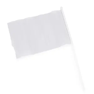 Bandiere Personalizzate Croccanti: Gadget Promozionali e Striscioni su Misura - Product Image 1