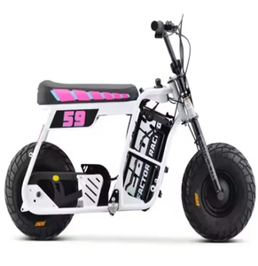 Vélo électrique EBOX Dragster de haute qualité, neuf, en acier, prêt à être expédié, avec 1 an de garantie - Product Image 4