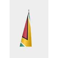 Drapeau officiel de la Guyane personnalisable 3x5 pieds, impression numérique, nylon, aluminium, polyester, vinyle, soie, utilisation automobile personnalisée