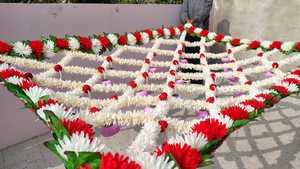 Traditional Bride Floral Canopy Jasmine Phoolon Ki ChadarPurple Ranunculus Wedding Bridal Entry Indian Pakistani Punjabi Wedding - Product Image 2