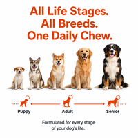 Complément alimentaire pour chiens, multivitamines, soutien complet de la santé, comprimés à mâcher, OEM, 8-en-1, bien-être quotidien, immunité, santé cardiaque