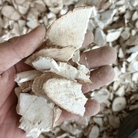 Amidon de manioc/tapioca de qualité supérieure, qualité alimentaire AA, pour gâteaux/boulangerie/saucisses/mayonnaise, finesse 99%, sac de 50 kg, Vietnam, Justin Ngo WA