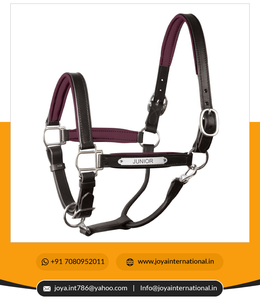 Qualité supérieure indienne personnaliser licou de cheval personnalisé licou en cuir rembourré avec plaque signalétique léger - Product Image 5