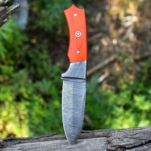 Couteau à dépecer damas couteau de chasse de survie avec gaine en cuir Style Cowboy supporté par OEM pour la chasse Camping manche rouge - Product Image 5