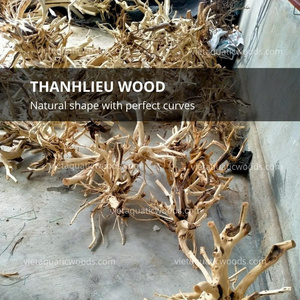 Vente en gros de bois flotté en forme d'arbre pour aquariums Design naturel du Vietnam Fabricant - Product Image 6
