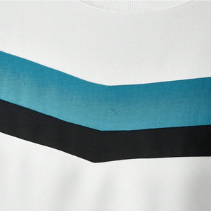 Sweat-shirts d'hiver personnalisés OEM imprimés, 100% coton molletonné, unisexe, avec poche, tissu 430g, écologique - Product Image 5