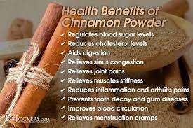 Venta al por mayor de hierbas frescas de canela y canela orgánica, alta calidad de Vietnam - Product Image 4