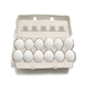 Huevos de Gallina Frescos de Granja, con Cáscara Marrón y Blanca, Estilo Brasileño, Origen - Product Image 6
