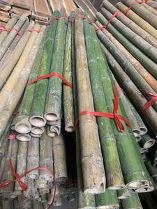 Postes de bambú secos de Vietnam para uso en jardín-Asequible y duradero - Product Image 5