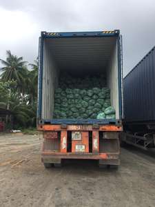 Matériau de bâton de balai de noix de coco brut naturel de haute qualité de l'usine au Vietnam - Product Image 2