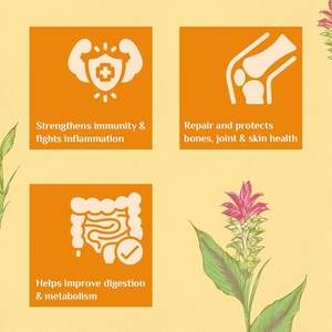 ผลิตภัณฑ์ทาทา-สูตรขมิ้นอินเดียออร์แกนิก-60แคปซูลผัก - Product Image 4