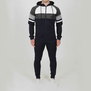 Haute qualité personnalisé unisexe décontracté Gym survêtement ensembles hommes Zip coton veste pantalon à capuche col survêtements solide imprimé Logo - Product Image 1