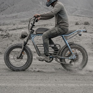 Bicicletta Elettrica Speciale con Pneumatici Larghi e Portapacchi Multifunzione, <span class=keywords><strong>Bici</strong></span> Elettrica da Esterno per Campeggio, Pendolarismo e Trasporto Attrezzature - Product Image 3