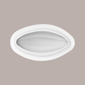 Molde de Silicona Realista para Granos de Cacao de 197x99H76 mm, para Repostería y Uso con Frutas - Product Image 3