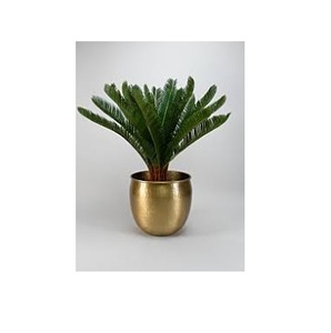 Design industriel Jardinière en or Pots de fleurs de taille personnalisée Prix de gros Pots et jardinières Poli brillant Très bonne qualité - Product Image 5