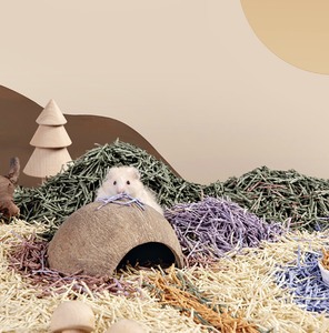 บ้านนกทำจากกะลามะพร้าวธรรมชาติ ทนทาน เป็นธรรมชาติ และเป็นมิตรกับสิ่งแวดล้อม บ้านแฮมสเตอร์ กระรอก นกแก้ว / +ลีม 84 865 912 655 - Product Image 5