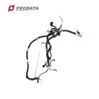 Harnais de câblage automobile PRODATA en PVC de haute qualité, sur mesure, avec bornes serties pour automobiles - OEM/ODM disponible