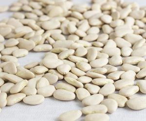 Haricots de beurre blancs naturels 100% de haute qualité 200-220 avec prix de gros pour l'exportation - Product Image 6