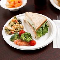Assiette en bagasse de canne à sucre de 10 pouces à 3 compartiments, résistante à la chaleur, biodégradable, jetable, pour restaurant et camping