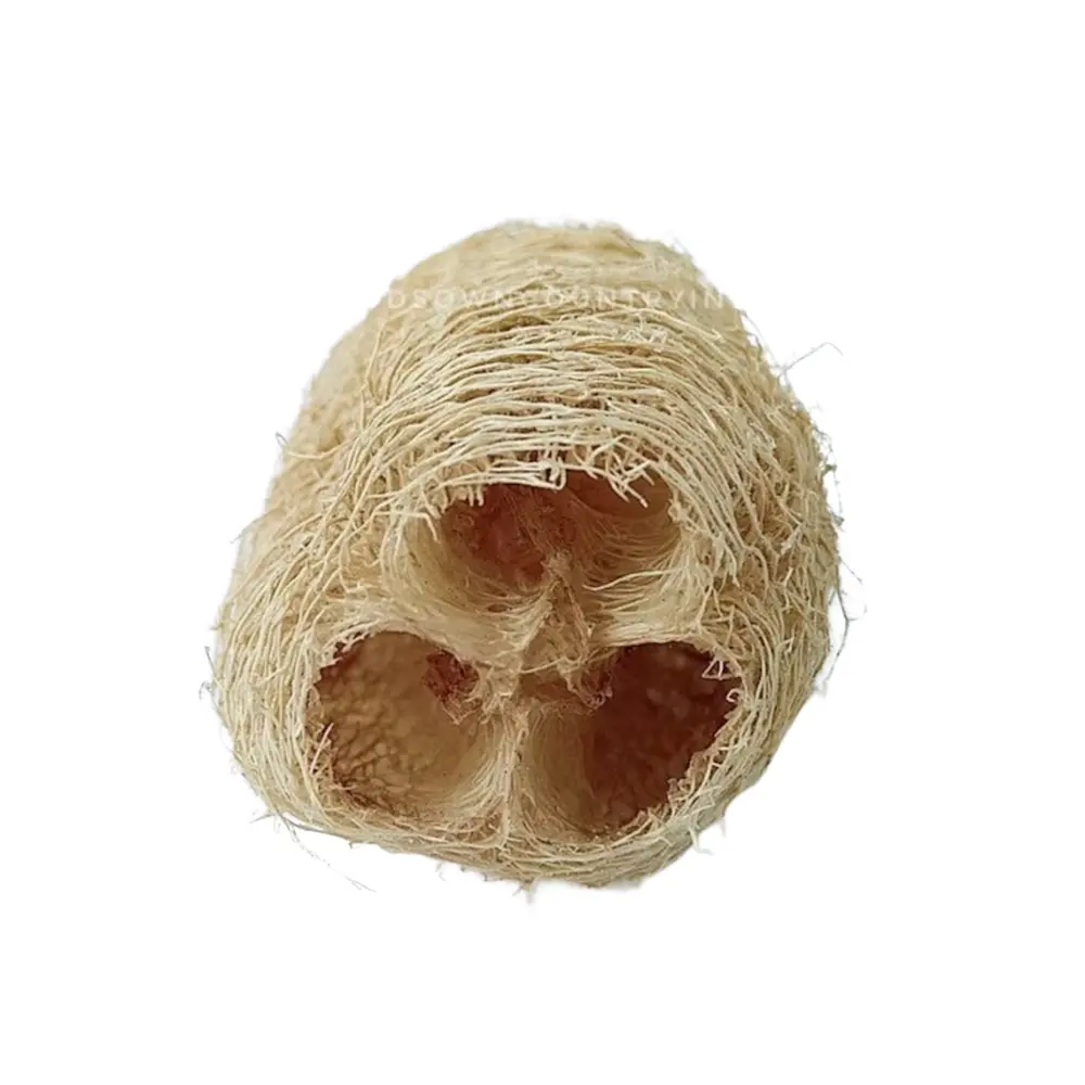 Tendance chaude meilleur vendeur 2024 naturel luffa éponge serviettes gommage exfoliant pour Gel douche Massage du corps éponge à vaisselle