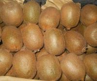 Goede prijs, heerlijke 90% rijpe natuurlijke bulk verse kiwi's van hoge kwaliteit. 100% verse, rijpe en natuurlijke kiwi's.